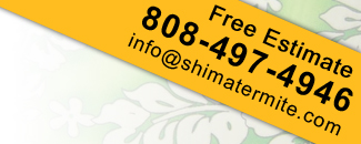 Contact Shima Termite