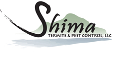 Shima Termite